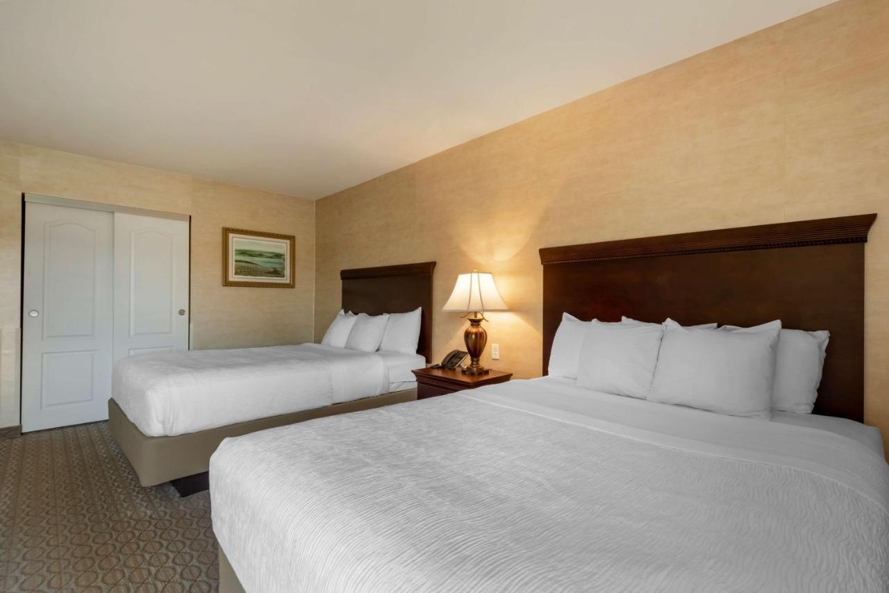 Western Vineyard And 3* Penn Yan