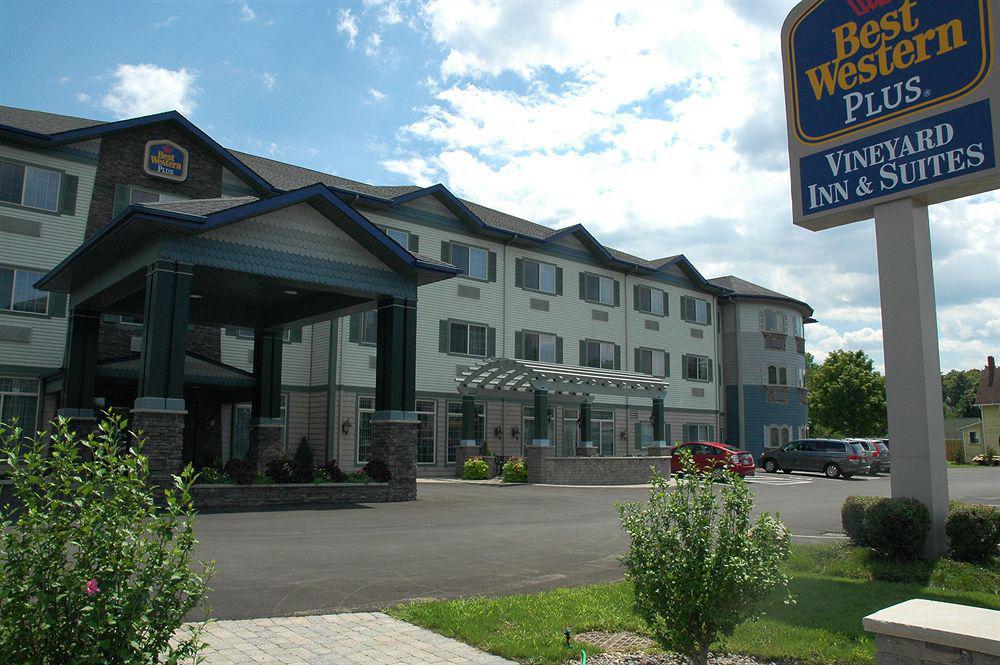 Western Vineyard And 3* Penn Yan